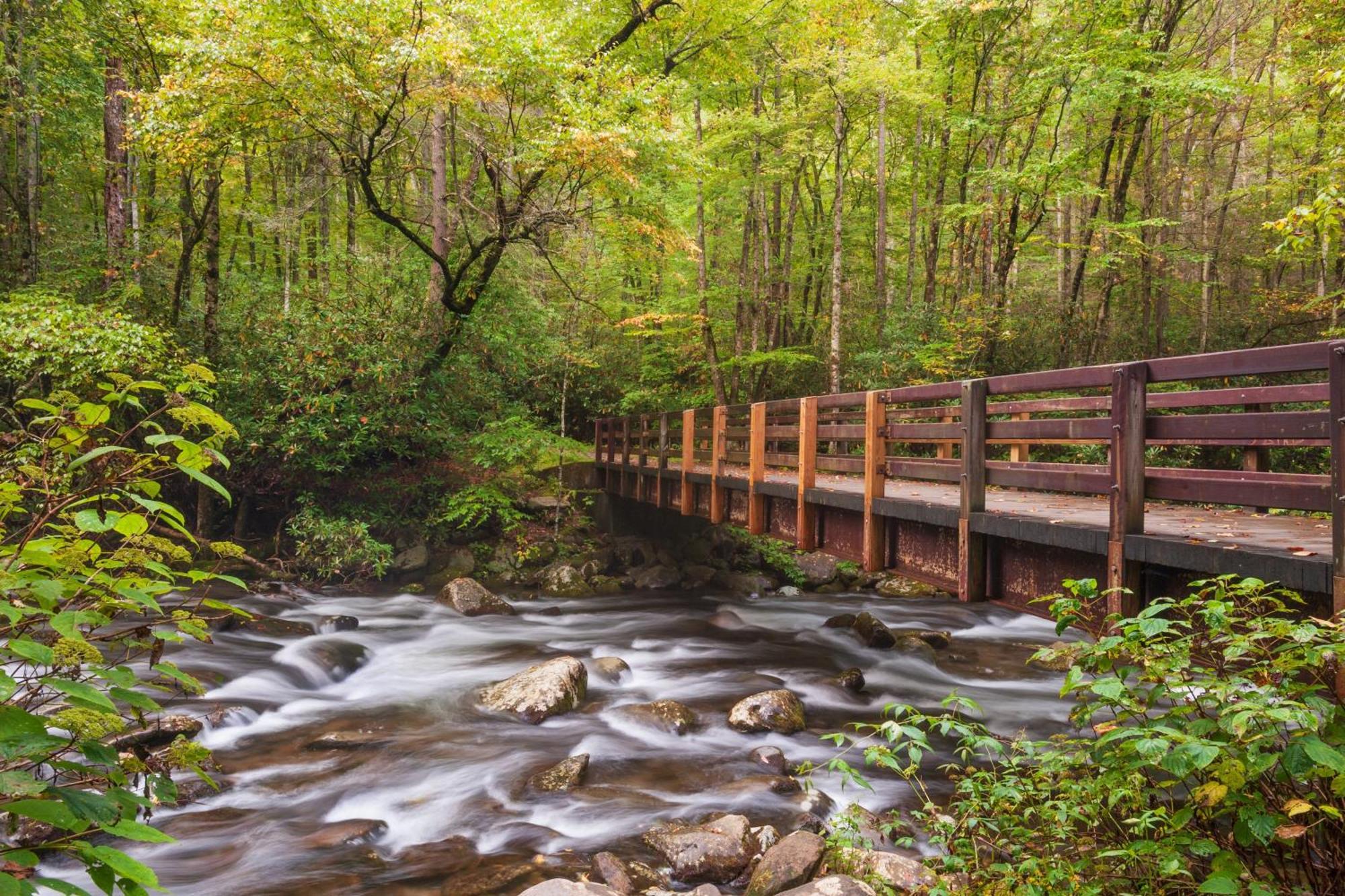 Bear Den, Hot Tub, 1089 Of Free Attraction Tickets For Each Paid Day, Dollywood And More! Sevierville Exterior foto